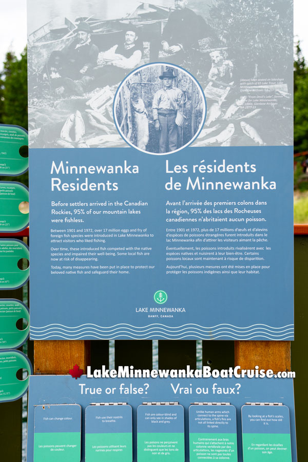 Minnewanka Resident History